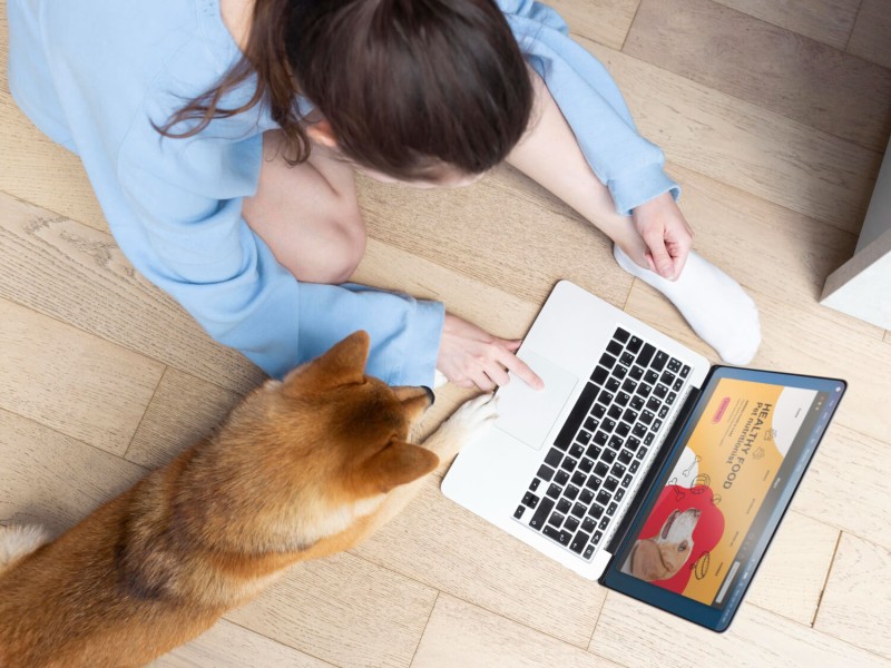 Affiliate Program for Pet Care Businesses: How It Works and How to Build One