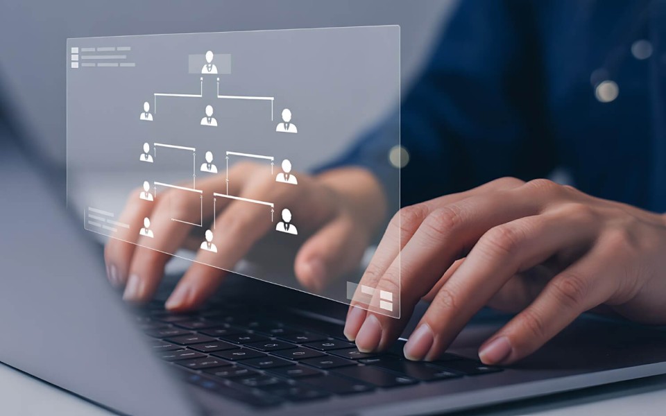 Binary MLM Plan Guide 2026: Structure, Formulas and Best Software
