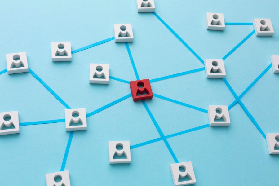 Network Marketing Business Model: How MLM Structures Actually Work